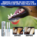 Pet Clean Pen: Caneta de limpeza dental fácil e rápida para pets