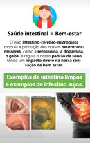 Vitae Aloe Complex Suplemento 1 Litro - Sabor Aloe Vera - Luci Luci