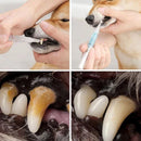 Pet Clean Pen: Caneta de limpeza dental fácil e rápida para pets