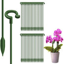 PlantSup - Suporte Inteligente Anti-Perda para Plantas [PAGUE 10 LEVE 20]