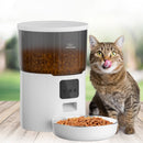 Alimentador Pet Inteligente Automático Wi-Fi App - Gatos e Cachorros