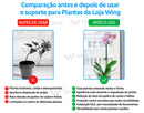 PlantSup - Suporte Inteligente Anti-Perda para Plantas [PAGUE 10 LEVE 20]