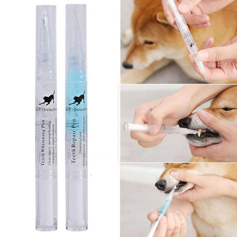Pet Clean Pen: Caneta de limpeza dental fácil e rápida para pets